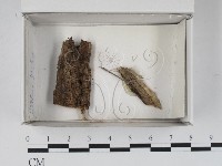 登錄號:F0020535藏品圖，第1張