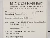 登錄號:F0020536藏品圖，第2張