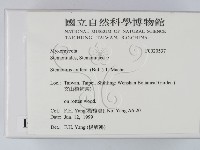 館號:F0020537藏品圖，第2張