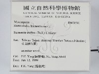 登錄號:F0020541藏品圖，第2張