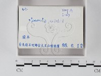 登錄號:F0020542藏品圖，第2張