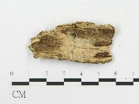 登錄號:F0020542藏品圖，第3張