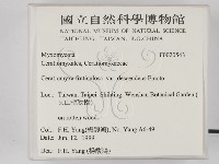 登錄號:F0020543藏品圖，第2張
