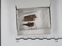 登錄號:F0020544藏品圖，第1張