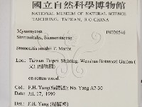 登錄號:F0020546藏品圖，第2張