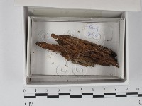 登錄號:F0020547藏品圖，第1張