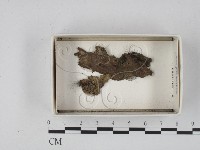 登錄號:F0020548藏品圖，第1張