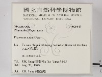 登錄號:F0020549藏品圖，第2張