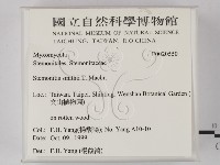 登錄號:F0020550藏品圖，第2張