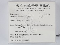 登錄號:F0020551藏品圖，第2張