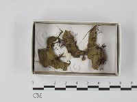 登錄號:F0020551藏品圖，第1張
