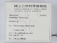 登錄號:F0020552藏品圖，第2張