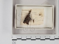 登錄號:F0020552藏品圖，第1張