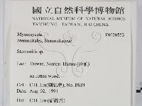 登錄號:F0020553藏品圖，第2張