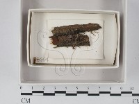 登錄號:F0020553藏品圖，第1張