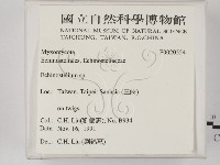 登錄號:F0020554藏品圖，第2張