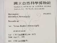 登錄號:F0020555藏品圖，第2張