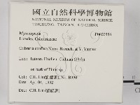登錄號:F0020556藏品圖，第2張