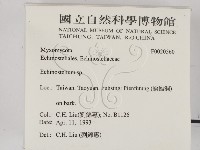 登錄號:F0020560藏品圖，第2張