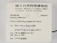 登錄號:F0020561藏品圖，第2張