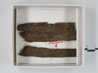 登錄號:F0020561藏品圖，第1張