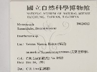 登錄號:F0020563藏品圖，第2張