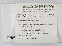 登錄號:F0020565藏品圖，第2張