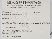 登錄號:F0020567藏品圖，第2張