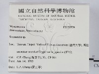 登錄號:F0020570藏品圖，第2張