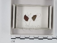 登錄號:F0020572藏品圖，第1張