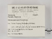 登錄號:F0020573藏品圖，第2張