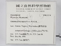 登錄號:F0020574藏品圖，第2張