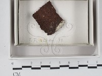 登錄號:F0020575藏品圖，第1張