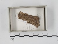 登錄號:F0020576藏品圖，第1張