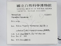 登錄號:F0020577藏品圖，第2張