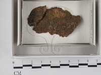 登錄號:F0020580藏品圖，第1張