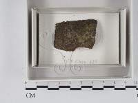 登錄號:F0020583藏品圖，第1張