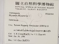 登錄號:F0020584藏品圖，第2張