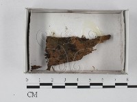登錄號:F0020588藏品圖，第1張