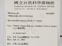 登錄號:F0020589藏品圖，第2張