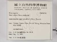 登錄號:F0020590藏品圖，第2張