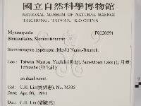 登錄號:F0020591藏品圖，第2張