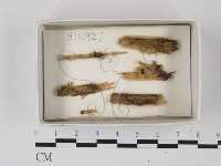 登錄號:F0020593藏品圖，第1張