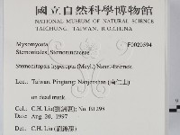 登錄號:F0020594藏品圖，第2張