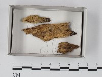 登錄號:F0020594藏品圖，第1張