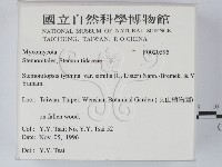 登錄號:F0020595藏品圖，第2張