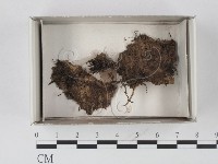 登錄號:F0020597藏品圖，第1張