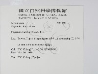登錄號:F0020601藏品圖，第2張