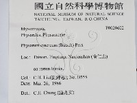 登錄號:F0020602藏品圖，第2張