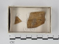 登錄號:F0020602藏品圖，第1張